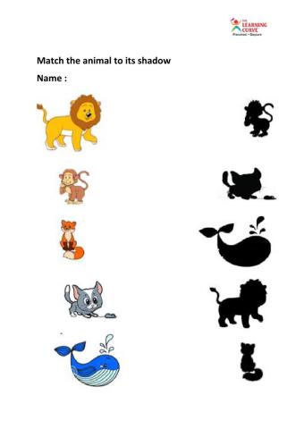 Match the animal to shadow