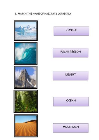 Unit 6: the old house (habitats)
