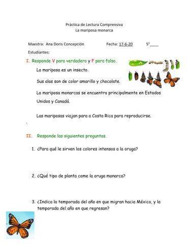Práctica de Lectura:La mariposa monarca