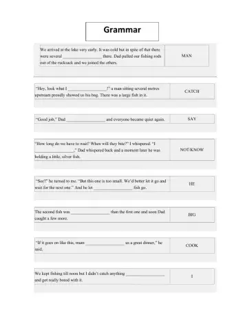 ОГЭ Grammar and vocabulary test 2