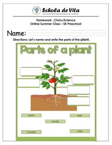 Parts of the plants