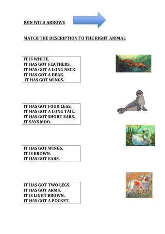 Description of animals