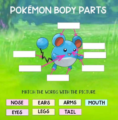 Pokémon Body Parts