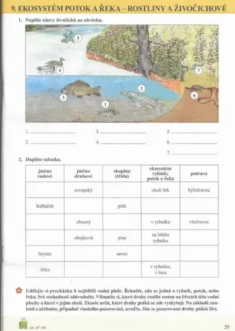 Ekosystém potok a řeka - živočichové