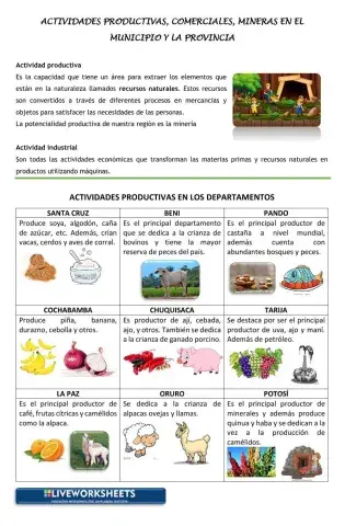 Actividades productivas