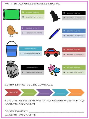 Gli esseri viventi e gli esseri non viventi