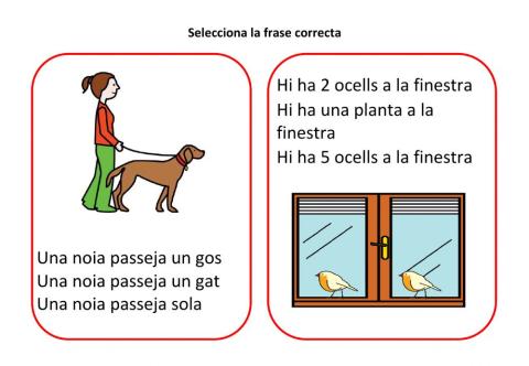 Comprensió amb imatges 3