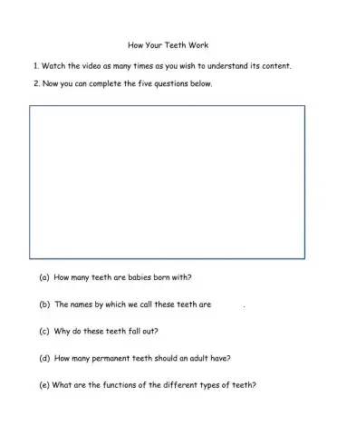 Our Teeth - Types, Functions and Numbers