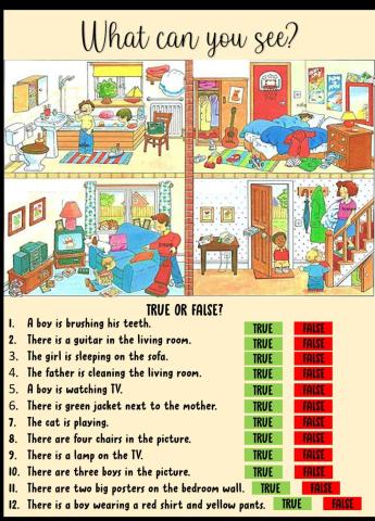 What can you see? True or False