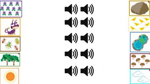 Nature - listen and match