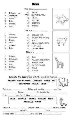 Animals- Description