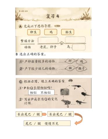 二年级科学第四课  动物