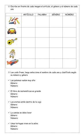 Genero ynumero del sustantivo