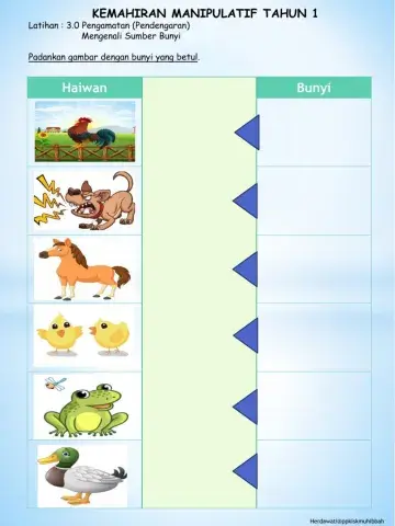 Pengamatan Bunyi Haiwan