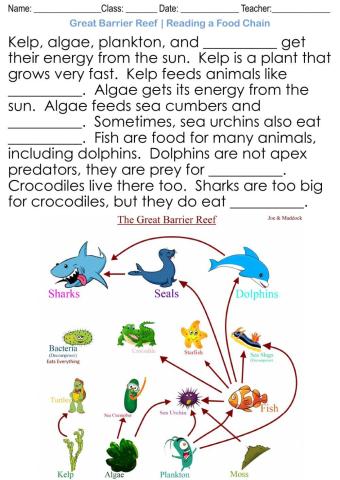Great Barrier Reef - Reading Food Webs