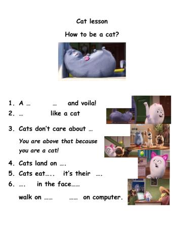 Secret life of pets Cat lessons