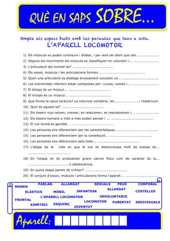 Que saps sobre... Aparell Locomotor-Preguntes 04