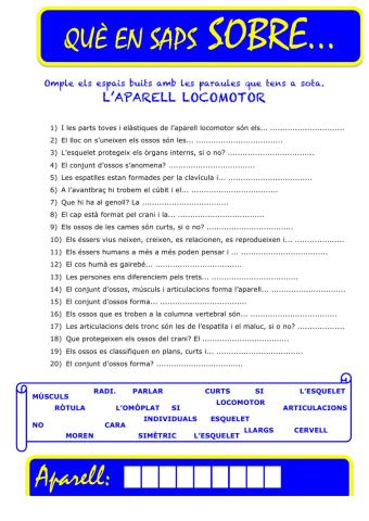 Que saps sobre... Aparell Locomotor-Preguntes 05