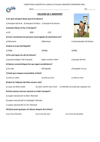 Comprensió oral els falcons de l'aeroport