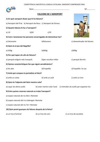 Comprensió oral els falcons de l'aeroport