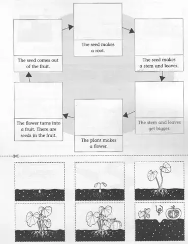 Incredible English 3