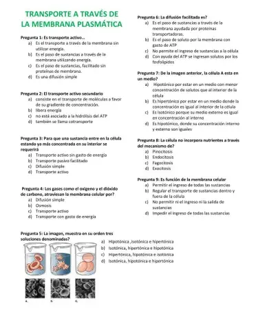 Transporte a través de membrana