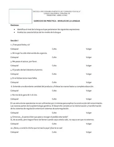 Niveles del lenguaje