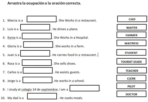 Occupations