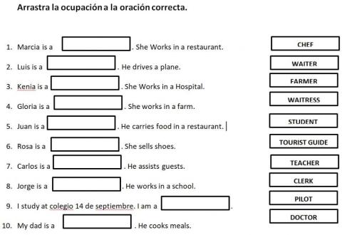 Occupations