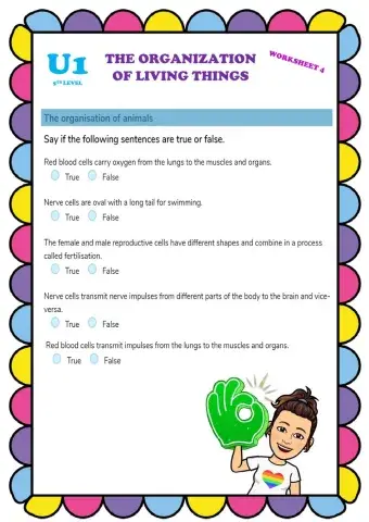 Organization of linving things 4