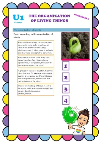 Organization of linving things 5