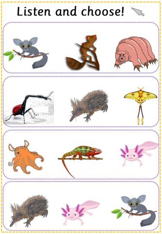Listen and choose the animal