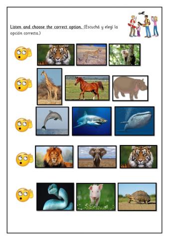 Comparatives - EXTRA 4th
