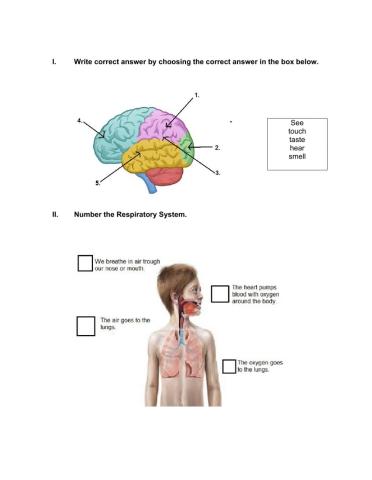 Unit 2: An Amazing Machine