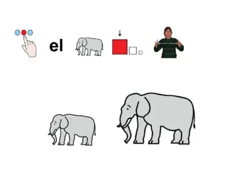 Concepto cuantitativos: GRANDE-PEQUEÑO L.S.E