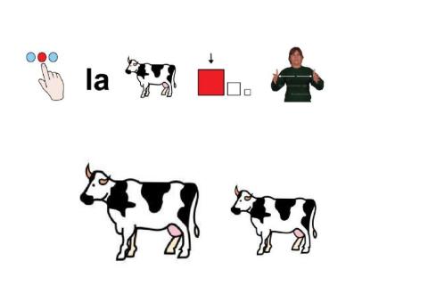 Concepto cuantitativos: GRANDE-PEQUEÑO L.S.E