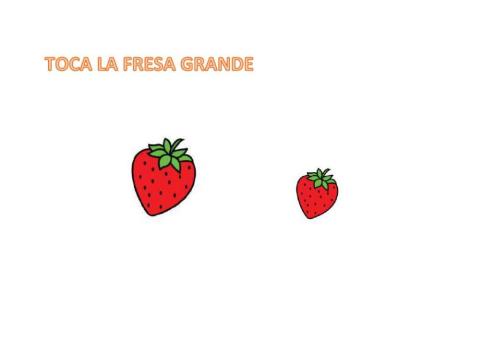 Concepto cuantitativos: GRANDE-PEQUEÑO