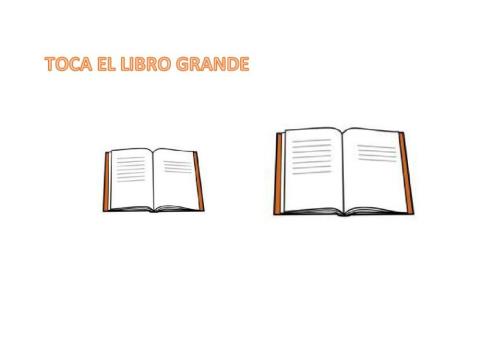 Concepto cuantitativos: GRANDE-PEQUEÑO
