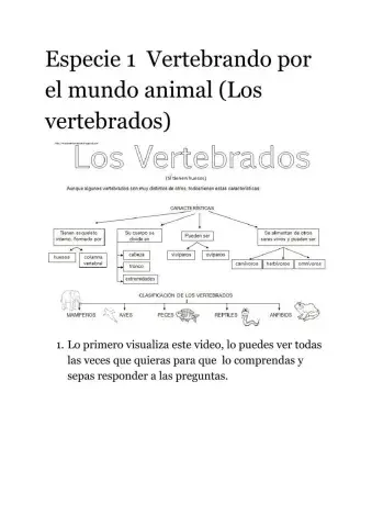 Especie 1, Vertebrados