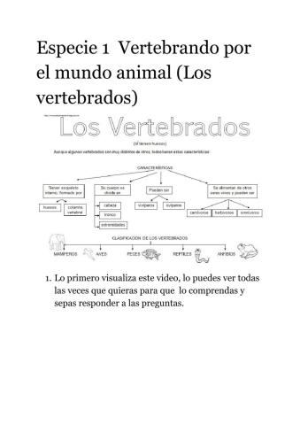 Especie 1, Vertebrados