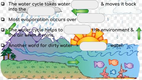 Water cycle