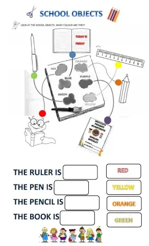 School objects and colours