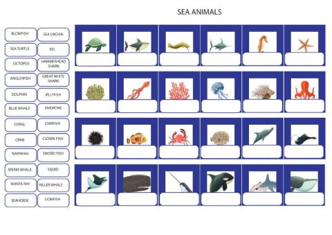 Sea animals