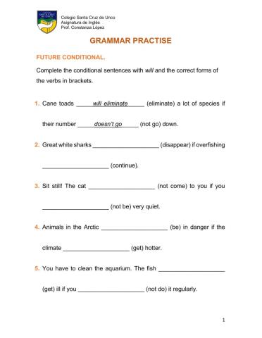 Grammar Practise 8º (1)