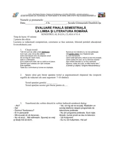 Evaluare finală semestrul II, cls VI
