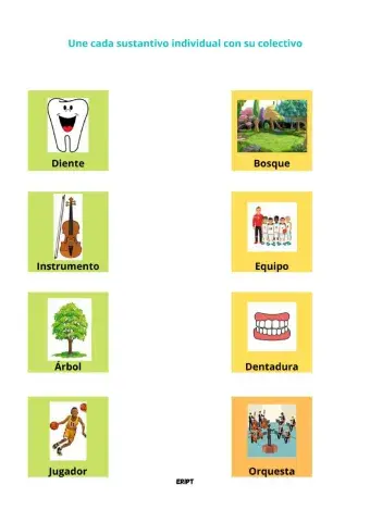 Sustantivos individuales y colectivos