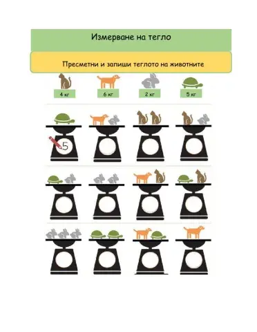 Математически представи, количествени представи