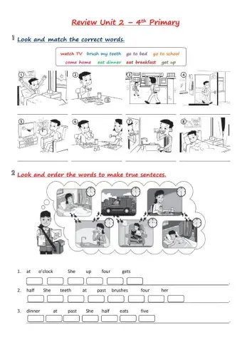 4th Primary - Review Unit 2