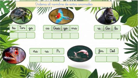 Ordena las sílabas de las palabras