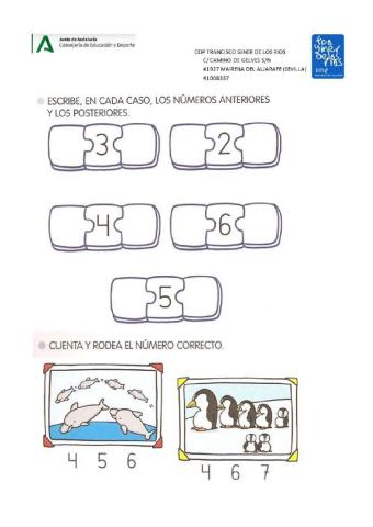 Anterior y posterior